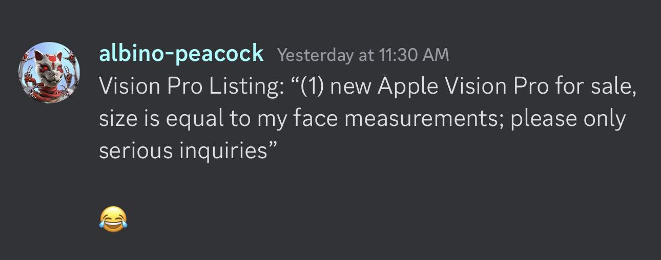 Apple Vision Pro Reseller Discord Custom Fit