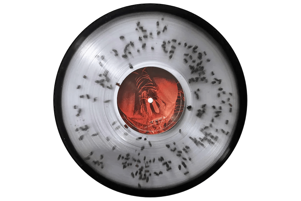 Jar of Flies Clear Fly Vinyl