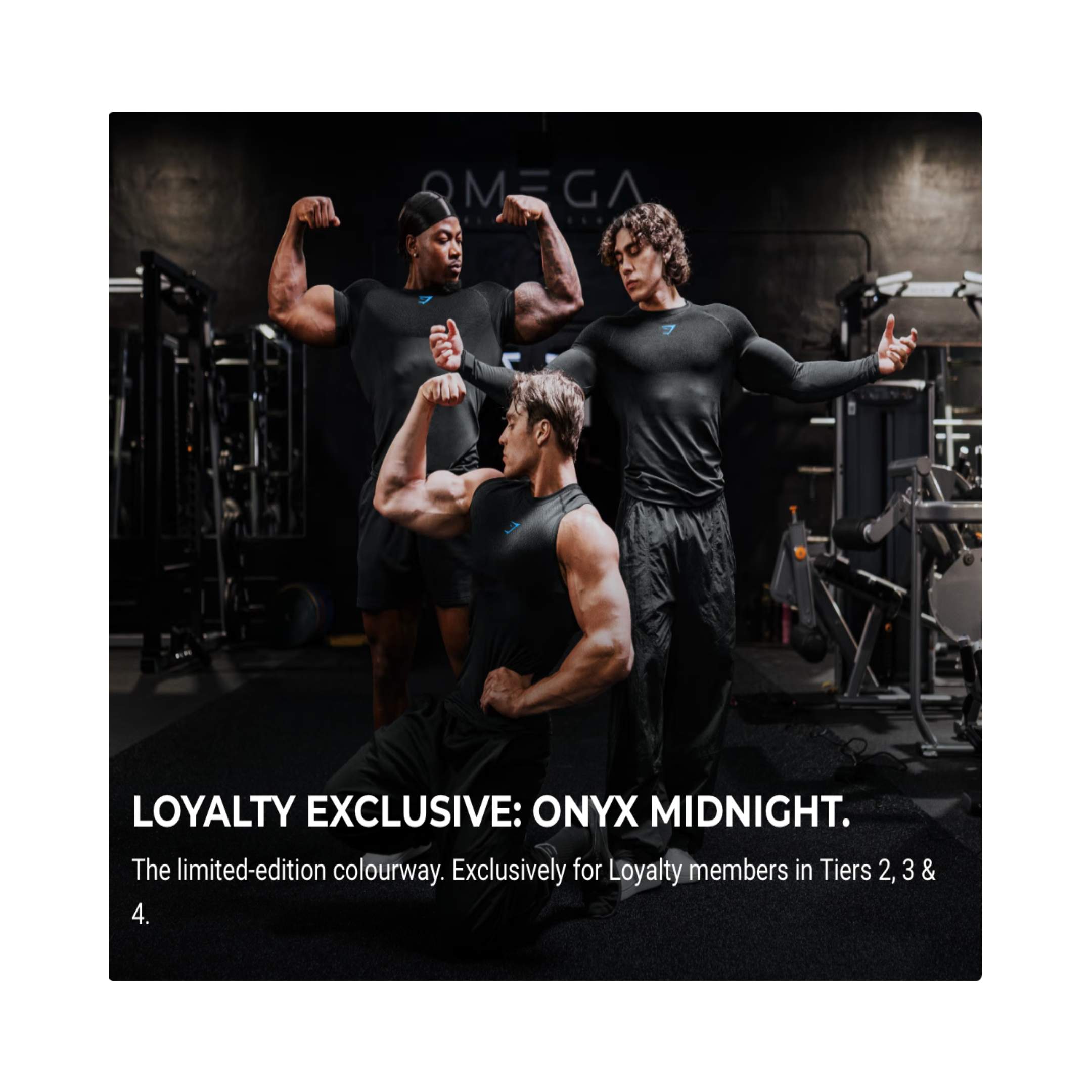 Gymshark - Onyx Midnight