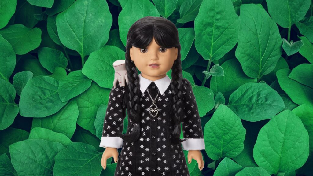 American Girl Wednesday Collector Doll Reseller
