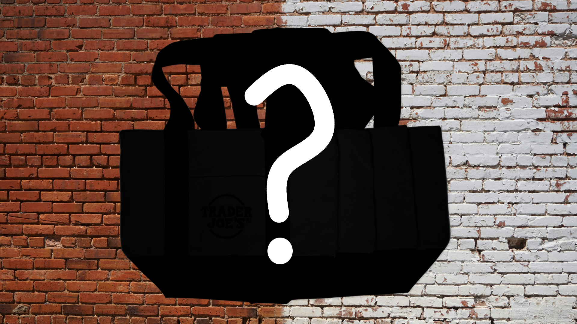 Trader Joe Halloween Mini Tote Reseller