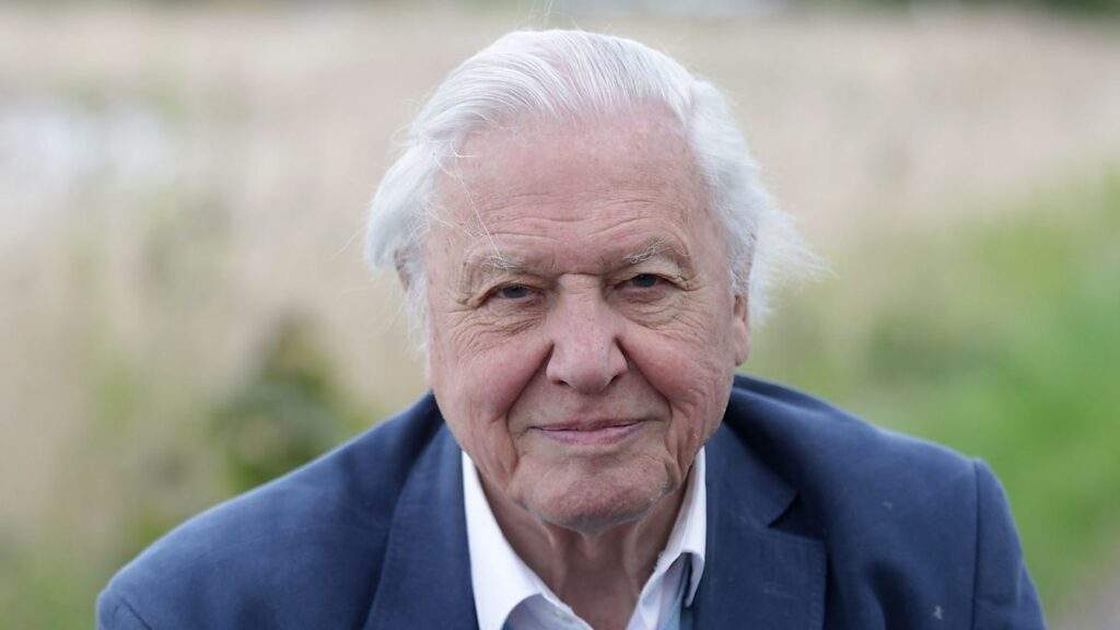 David Attenborough Signed Book Trilogy Hatchards
