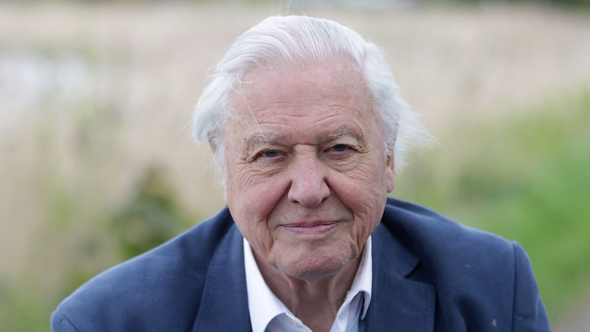 David Attenborough Signed Book Trilogy Hatchards