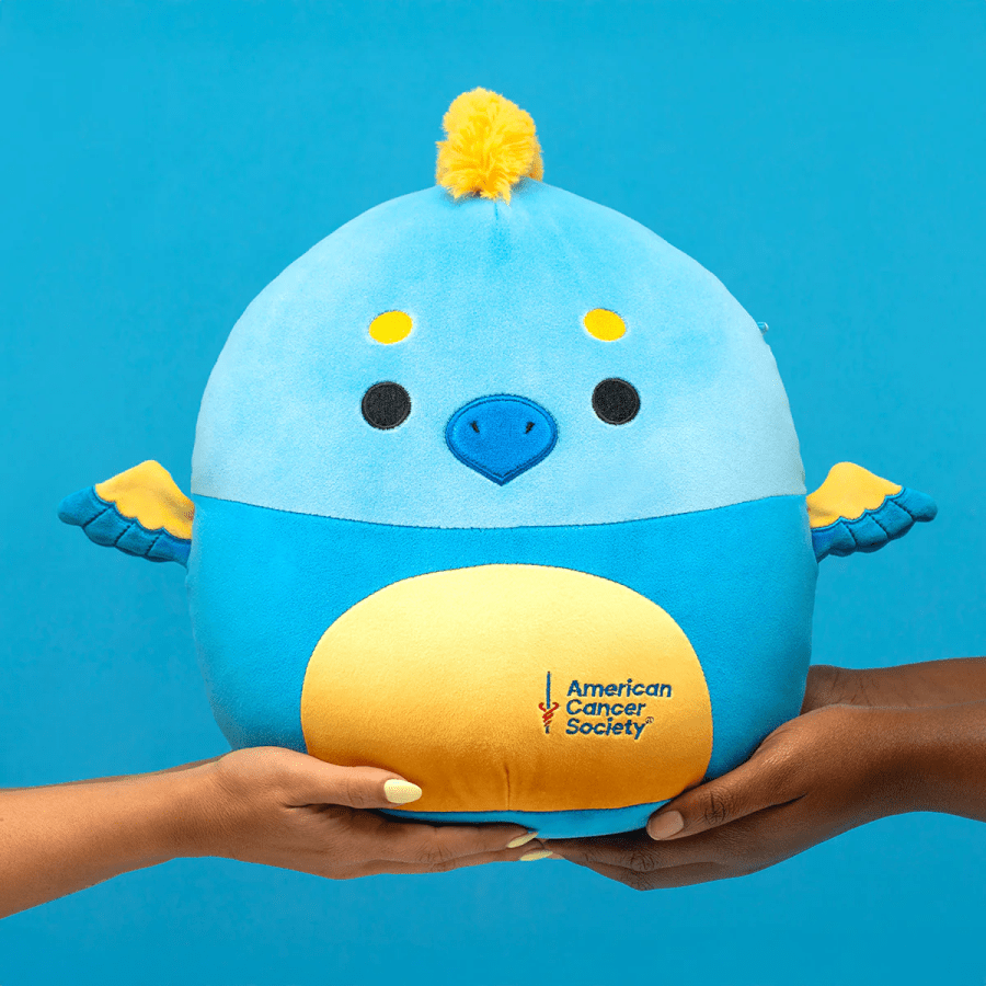 Cancer Charity Stephamos Squishmallow Preorders