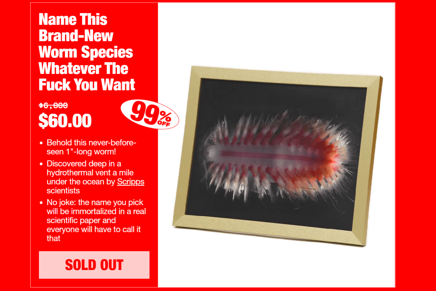 Cards Against Humanity Name Worm Species