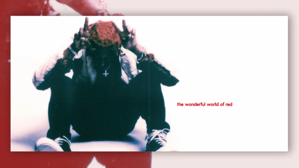 Playboi Carti Whole Lotta Red IVC