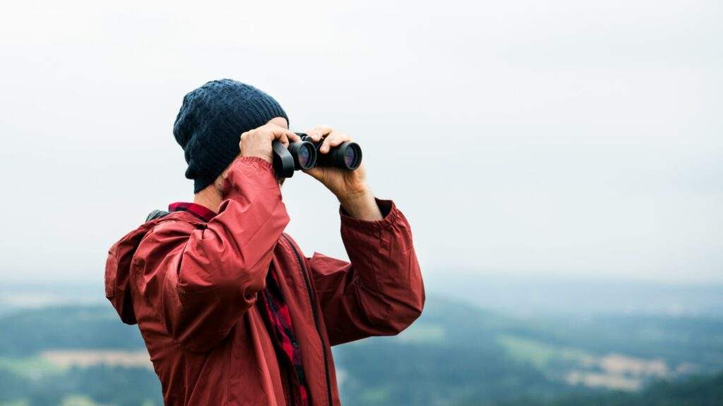 Reseller looking for profitable items to flip