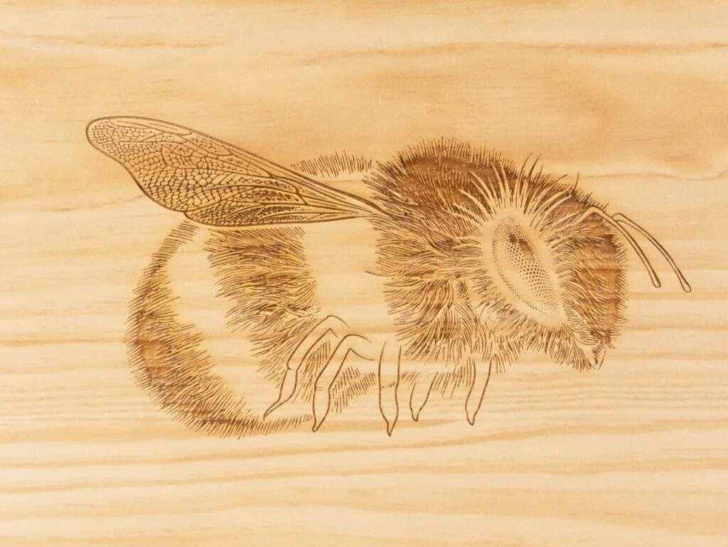 Beyonce Bey Keeper Wood Box Reseller