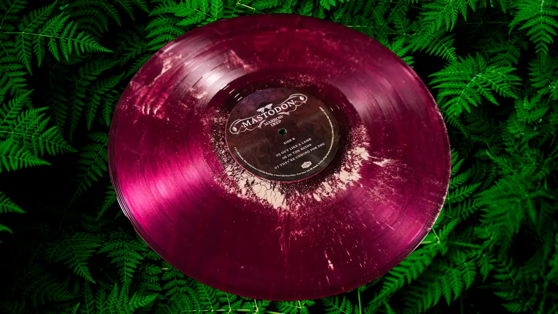 Mastodon Bonedust Vinyl Reseller Mammoth Teeth